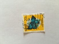 [Butterflies, type OY]