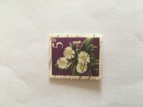 [Local Motifs - Flowers, type GX]