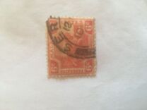 [Tiger - New Colors, type C37]