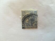 [Tiger - New Colors, type C38]