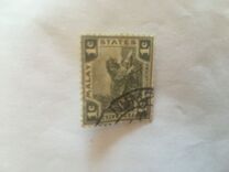 [Tiger - Different Watermark, type C40]