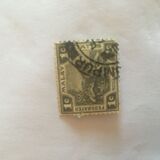 [Tiger - Different Watermark, type C40]
