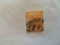 [Tiger - Different Watermark, tip C47]