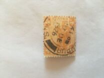 [Tiger - Different Watermark, tip C47]