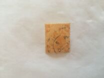 [Tiger - Different Watermark, tip C47]