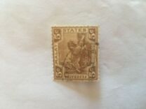 [Tiger - Different Watermark, type C49]
