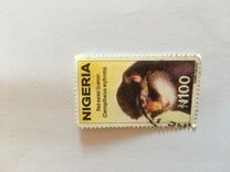 [Wildlife, type YW]