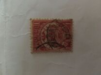[Escudo., tipo D1]