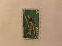 [Canadian Aircraft, տեսակ AAX]