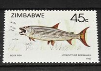 [Fish, тып FZ]