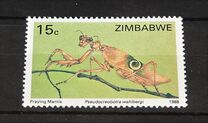 [Insects, tip EO]