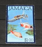 [Local Motifs - Birds and Sport, Tip QK]