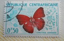 [Butterflies, tyyppi D]