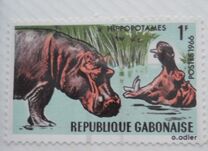 [Gabon Fauna, タイプ EB]