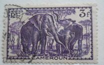 [Pictures from Cameroon, type X12]