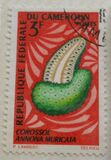 [Fruits, Вид HC]
