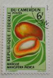 [Fruits, Вид HF]