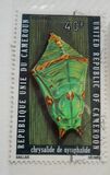 [Natural History, tipas RI]
