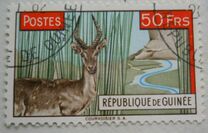 [Bohor Reedbuck, type AC4]