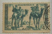 [Bedouin, type Y1]