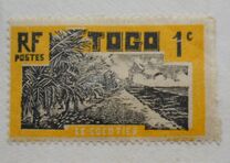 [Palm Trees, type G]