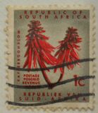 [Definitive Issue, Tipi HY]