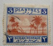 [Palm Trees, jenis P1]