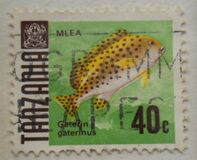 [Peces., tipo V]