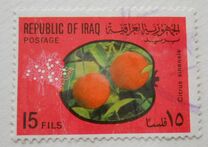 [Fruits, type IN]