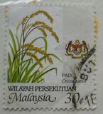 [Farming - Value in "C", tipas N]