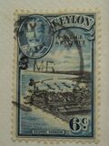 [King George V - Local Motives, Typ BD]