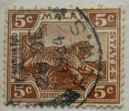 [Tiger - Different Watermark, type C49]