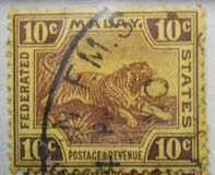 [Tiger - Different Watermark, प्रकार C20]