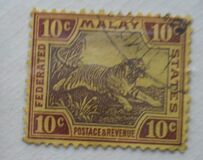 [Tiger - Different Watermark, प्रकार C20]