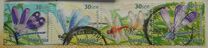 [Dragonflies and Damselflies, typ AJG]