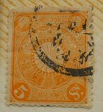 [Chrysanthemum, type AJ5]
