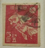 [Japanese Culture, type GI]