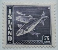 [Fish, tip BS]