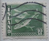 [Fish, tip BS2]