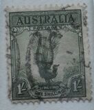 [Superb Lyrebird, Typ N]