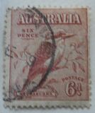 [Kookaburra, type P]