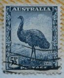 [Definitives, тип AT]