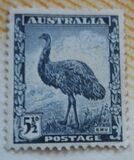 [Definitives, тип AT]