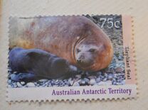 [Antarctic Wildlife, type CM]
