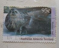 [Antarctic Wildlife, type CO]