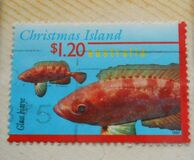 [Fish, type OZX]