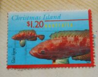 [Fish, type OZX]
