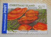 [International Stamps - Fungi, Scrivi QV]