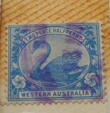 [Black Swan - New Watermark, type L2]