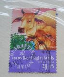[Cocos Quarantine Station, tegund MJ]